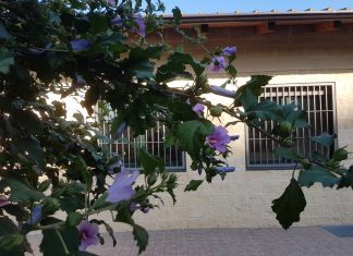 ETD-ETS-CADD – Orbassano