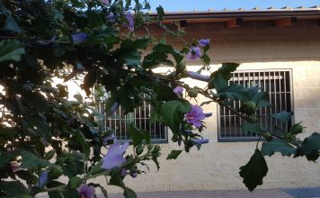 ETD-ETS-CADD – Orbassano