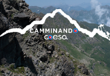 Coesa relazione Camminando 2024