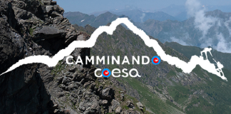 Coesa relazione Camminando 2024